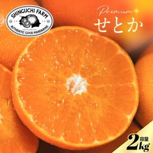 [贈答用]五代目が厳選した「柑橘の大トロ せとか」2kg[D70-153]