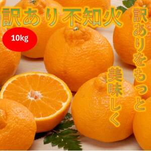 【訳あり】みさき果樹園の不知火10kg【C21-61】【1705416】