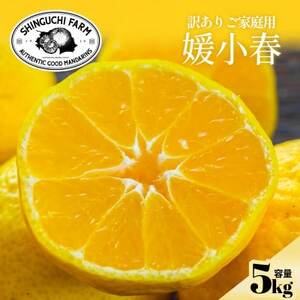 【数量限定】今シーズン発送!【訳あり】媛小春 5kg【D70-163】【1710484】