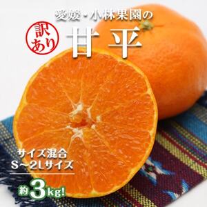 訳アリ★[数量限定300箱] 愛媛・小林果園の甘平(かんぺい)約3キロ[C24-39]
