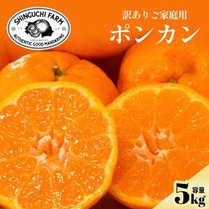 [数量限定]今シーズン発送![訳あり]ポンカン 5kg 愛媛県産[C70-167]