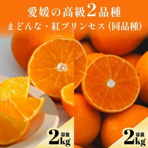 [発送月固定定期便]高級2品種 まどんな+紅プリンセスと同品種(愛果48号)[F70-168]全2回