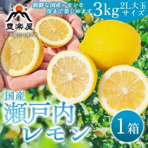 [防腐剤・ワックス不使用で安心]真穴産地直送の国産レモン 3kg(2Lサイズ 大玉)[C98-7]