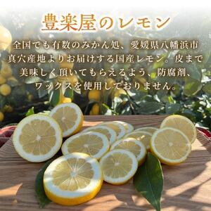 [防腐剤・ワックス不使用で安心]真穴産地直送のレモン 3kg×2箱(2Lサイズ 大玉)[E98-8]