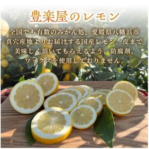 [防腐剤・ワックス不使用で安心]真穴産地直送のレモン 5kg×2箱(S~Lサイズ)[H98-10]