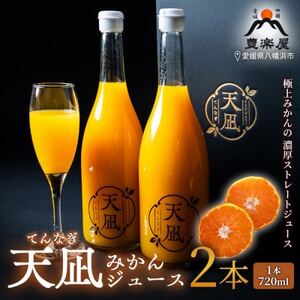 [砂糖・保存料・甘味料すべて不使用]愛媛みかんジュース「天凪」 720ml 2本[D98-3]