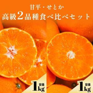 [愛媛人気2品種食べ比べ]せとか + 甘平 各1kg[C70-169]