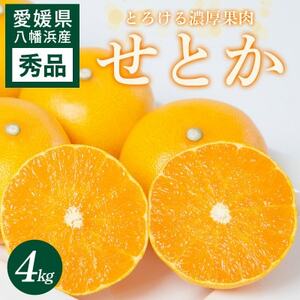 せとか 4kg 愛媛県 八幡浜市 西宇和地区 とろける濃厚果肉 柑橘の女王【E25-326】【1714494】
