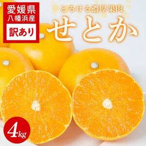 [訳あり]せとか 4kg 愛媛県 八幡浜産市 西宇和地区 柑橘の女王[C25-328]