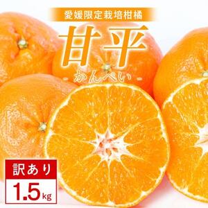 【訳あり】甘平 1.5kg 愛媛県 八幡浜市 西宇和地区 扁平で濃い味【C25-333】【1714523】