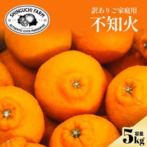 [数量限定]2026年2月下旬より順次発送![訳あり]不知火 5kg[C70-170]