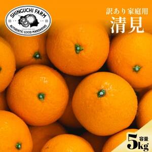 [数量限定]2026年2月下旬より順次発送![訳あり]清見 5kg[C70-171]