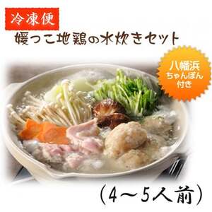 媛っこ地鶏の水炊きファミリー(4・5人前)セット[H17-6][配送不可地域:離島]