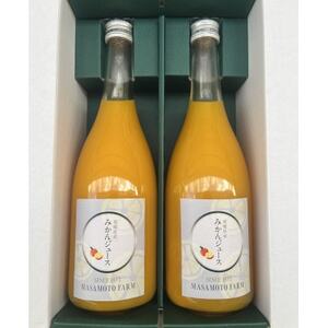 [正本農園]温州みかんジュース 720ml×2本[C96-7]