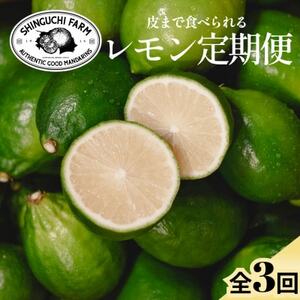 [発送月固定定期便]皮ごと食べられる[グリーンレモン]防腐剤・ワックス不使用[E70-172]全3回