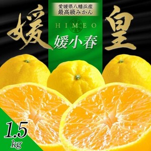 最高級みかん 媛皇 媛小春 1.5kg 愛媛県 八幡浜市 希少な幻の柑橘 黄色[D25-344]