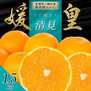 最高級みかん 媛皇 清見 1.5kg 愛媛県 八幡浜市 西宇和地区 柔らかい果肉[C25-347][配送不可地域:離島]