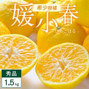媛小春 1.5kg 愛媛県 八幡浜市 西宇和地区 希少な幻の柑橘 黄色いみかん[C25-357]