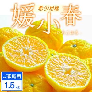 [ご家庭用]媛小春 1.5kg みかん 愛媛県八幡浜市 西宇和地区 希少な幻の柑橘[C25-358]