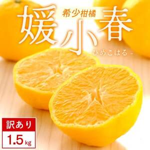 [訳あり]媛小春 1.5kg みかん 愛媛県 八幡浜市 西宇和地区 希少な幻の柑橘[C25-359]