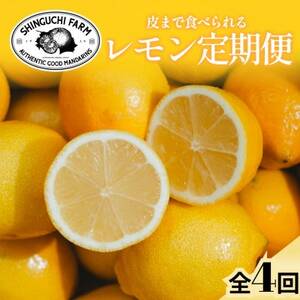 [発送月固定定期便]皮ごと食べられる[愛媛レモン]防腐剤・ワックス不使用[G70-173]全4回
