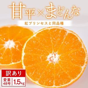 [訳あり]甘平×まどんな1.5kg 「紅プリンセス」と同品種 愛媛果試48号みかん[C25-376]