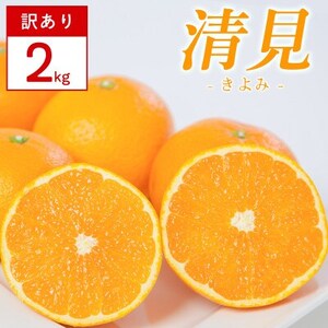 [訳あり]清見 2kg 愛媛県 八幡浜市 西宇和地区 柔らかい果肉[C25-380][配送不可地域:離島]