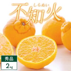 不知火 2kg みかん 愛媛県 八幡浜市 西宇和地区 濃厚な柑橘[C25-387]