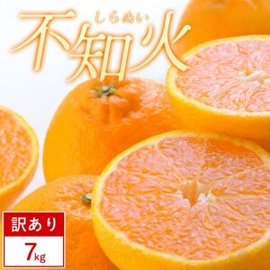 [訳あり]不知火 7kg みかん 愛媛県 八幡浜市 西宇和地区[D25-375]
