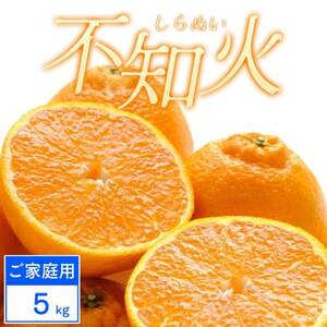 [ご家庭用]不知火 5kg みかん 愛媛県 八幡浜市 西宇和地区[C25-388]