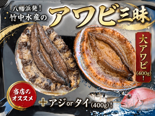 八幡浜発!竹中水産の「アワビ三昧大サイズ」400g(鯛もしくはアジとセット)【F22-214】【配送不可地域：離島・北海道・沖縄県】【1043110】 YWTM032
