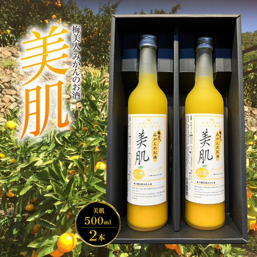 美肌500ml2本セット【C03-10】【1043419】 YWTO006