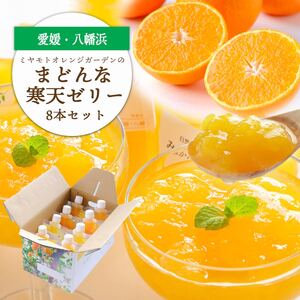 愛媛限定栽培品種 まどんな寒天ゼリーセット8本 ミヤモトオレンジガーデン[C25-25][1044274] YW