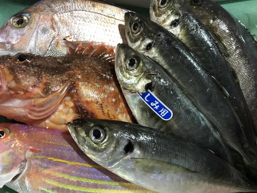 竹中水産の一押し「お手軽鮮魚2」2キロ前後【D22-236】【配送不可地域：離島・北海道・沖縄県】【1073397】 YWTM054