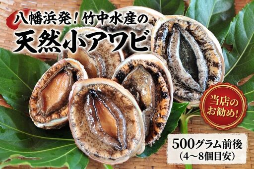 竹中水産の天然小アワビ、殻付きのままでバター焼き500g前後(4～8個目安)【D22-246】【配送不可地域：離島・北海道・沖縄県】【1073903】 YWTM064