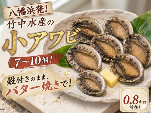 竹中水産の天然小アワビ、殻付きのままでバター焼き800g前後(7～10個目安)【G22-247】【配送不可地域：離島・北海道・沖縄県】【1073904】 YWTM065