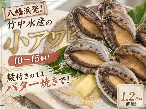 竹中水産の天然小アワビ、殻付きのままでバター焼き1.2kg前後(10～15個目安)【H22-248】【配送不可地域：離島・北海道・沖縄県】【1073905】 YWTM066