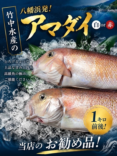 竹中水産の「甘鯛」(赤又は白)約1キロ【F22-260】【配送不可地域：離島・北海道・沖縄県】【1075512】 YWTM078