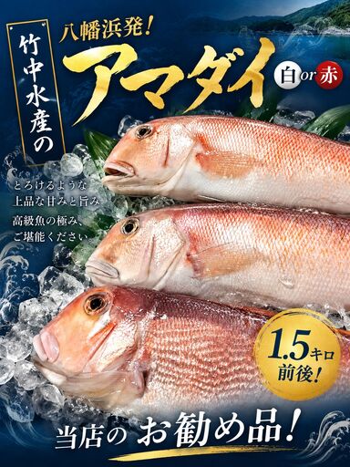 竹中水産の「甘鯛(赤又は白)1.5キロ前後」【H22-261】【配送不可地域：離島・北海道・沖縄県】【1075513】 YWTM079