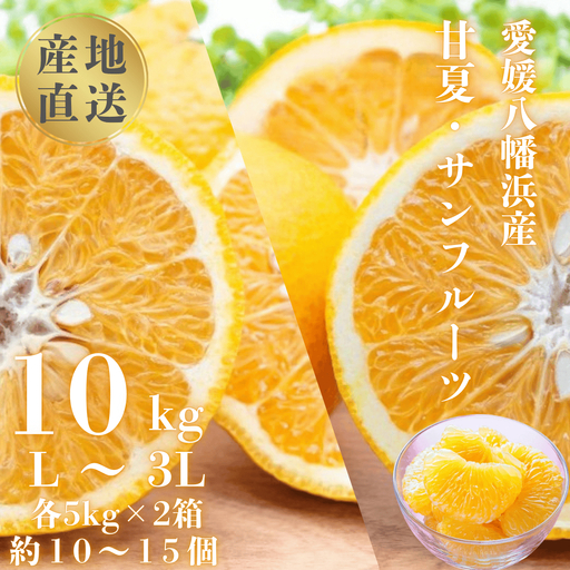 【先行受付】甘夏&サンフルーツ各5kg【D20-10】【1094576】 YWTI009