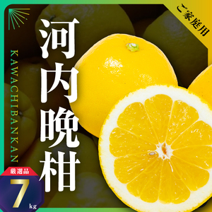 三代目の河内晩柑7kg(家庭用)【C31-30】【配送不可地域：離島】【1232986】 YWTAC019