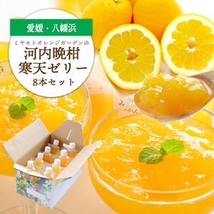 苦味の少ないさっぱり柑橘 和製グレープフルーツ 河内晩柑寒天ゼリー8本セット[D25-24][1255531] YW