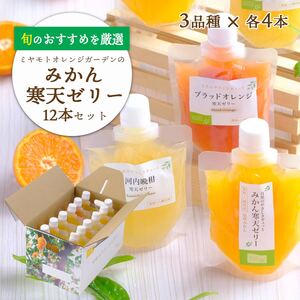 愛媛の人気柑橘を厳選!旬のおすすめ みかん寒天ゼリー12本セット(3種×各4本)[D25-14][1255533] YW