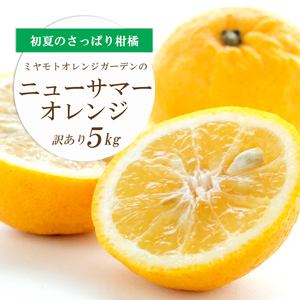 ワタまでおいしい ニューサマーオレンジ5kg(訳あり)[E25-140][1268369] YW