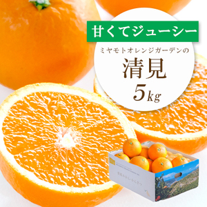 果汁たっぷり ジューシー 清見 5kg │ 愛媛県八幡浜市産[E25-126][1268370] YW