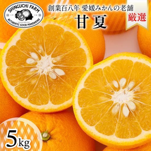 [木成り完熟]甘夏 5kg 『ほのかな苦味とスッキリした甘み』[C70-26][1470662]
