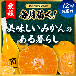 【発送月固定定期便】みかんのある暮らし全12回【H31-33】【配送不可地域：離島】【4000707】 YWTAC022