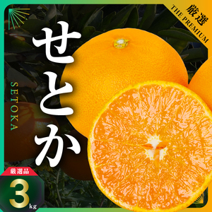 [先行受付]三代目の柑橘の大トロ[せとか]3kg[D31-6][配送不可地域:離島][1071620] YW