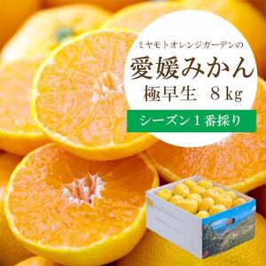 シーズン一番採り!極早生みかん 8kg[訳あり][C25-131][1166252] YW