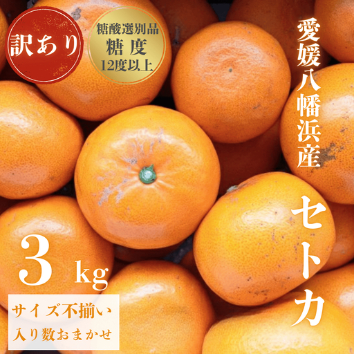 ＼みかんの大トロ/糖度12.0以上酸1.4以下 糖酸選別品 訳あり 愛媛セトカ3kg[C20-14][1094586]